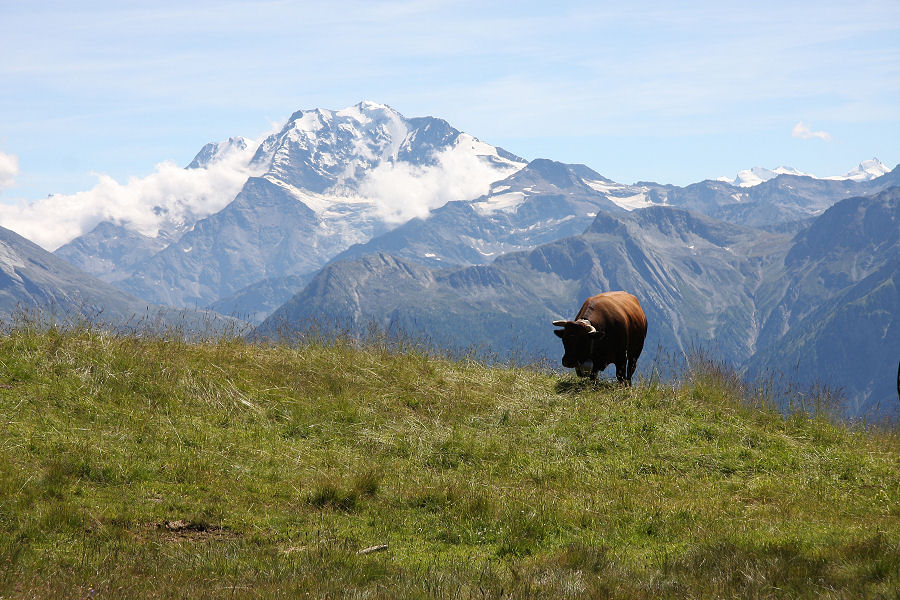 Vacanze nel Vallese (CH)